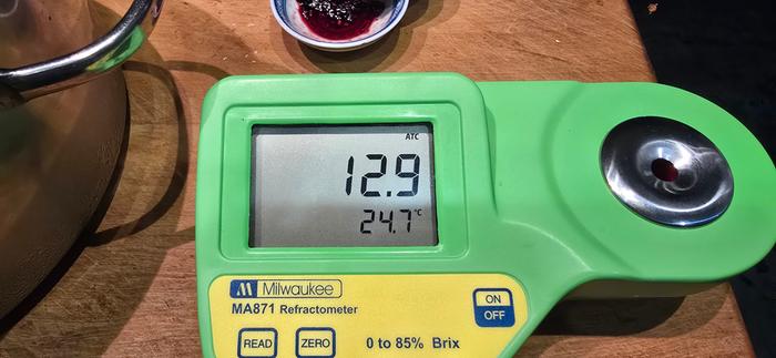 Elderberry juice brix reading