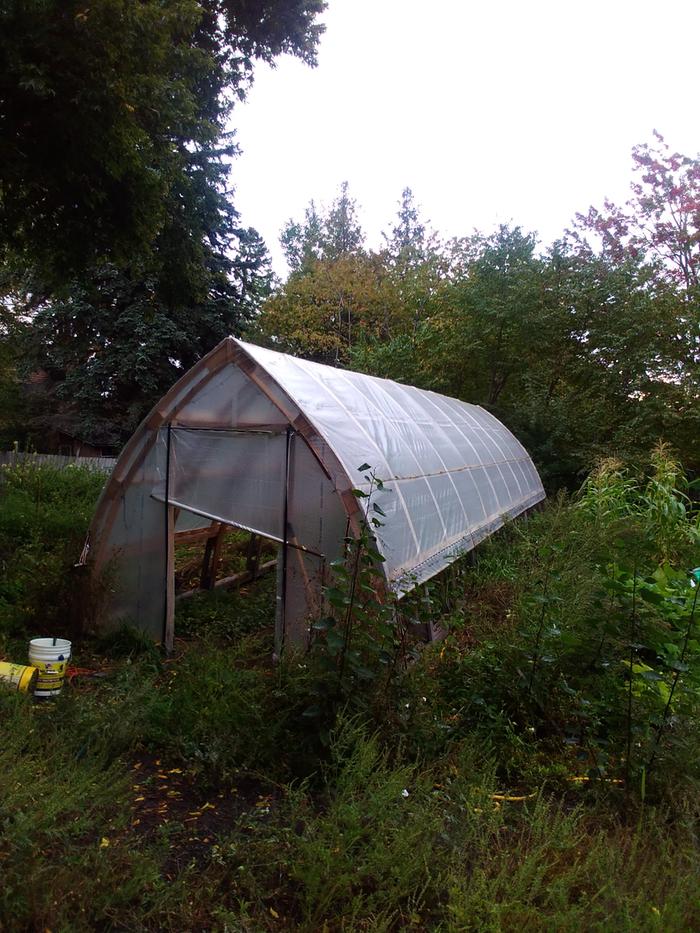 greenhouse persective view