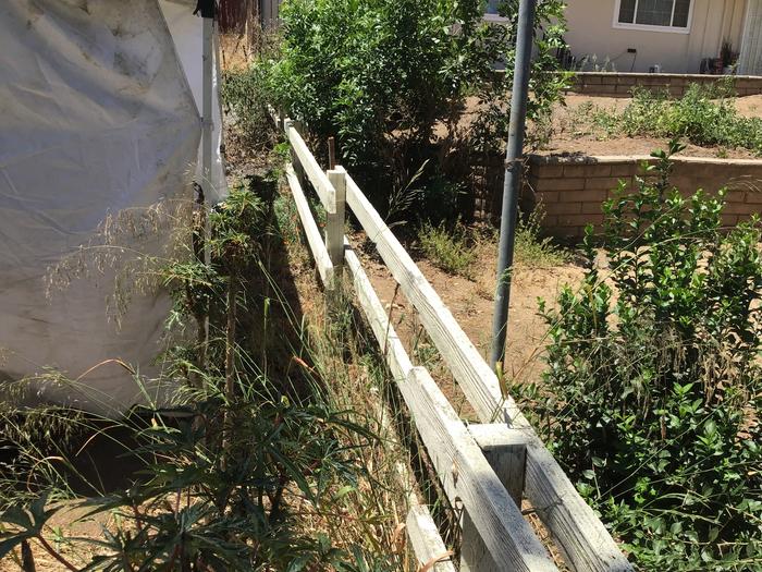 The space we need to plant shade in