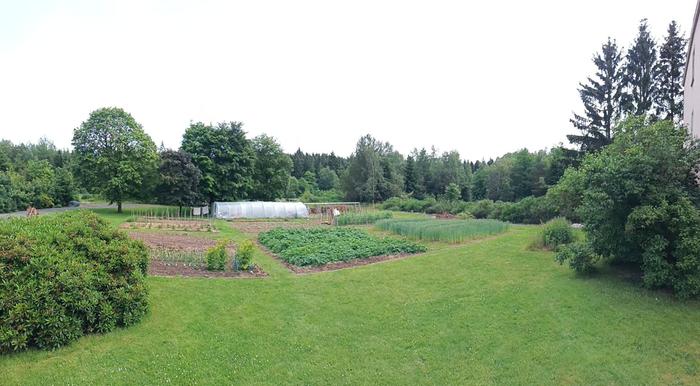 a permaculture garden in east germany