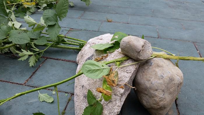 My bashing rocks. The small one fit in the palm of my hand pretty well.