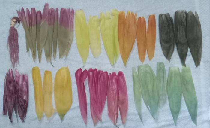 Dyed corn husks