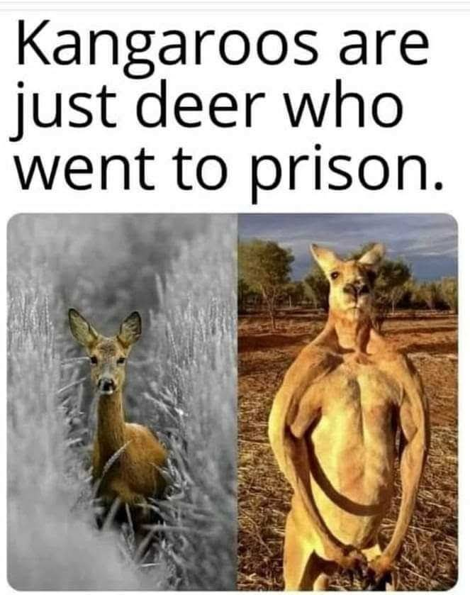 [Thumbnail for 518932964_1386890725751210_547021881847166404_n.png]