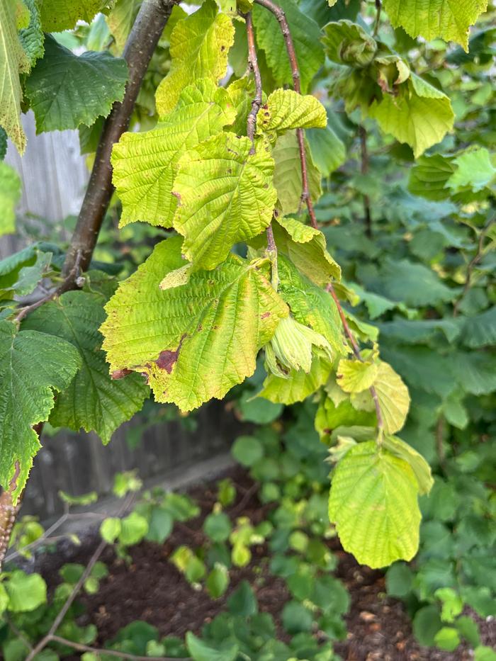 [Thumbnail for IMG_7733.jpeg]