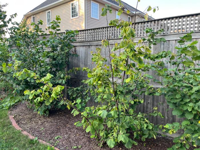 [Thumbnail for IMG_7732.jpeg]