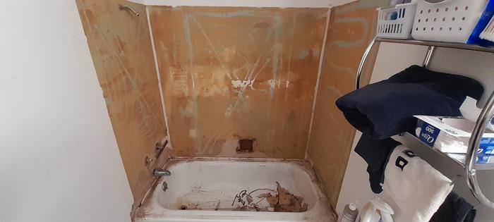bath tub shower insert removed