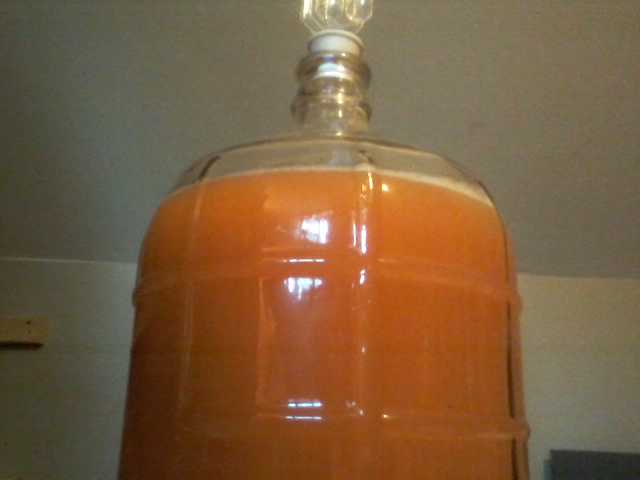 Making hard apple cider.