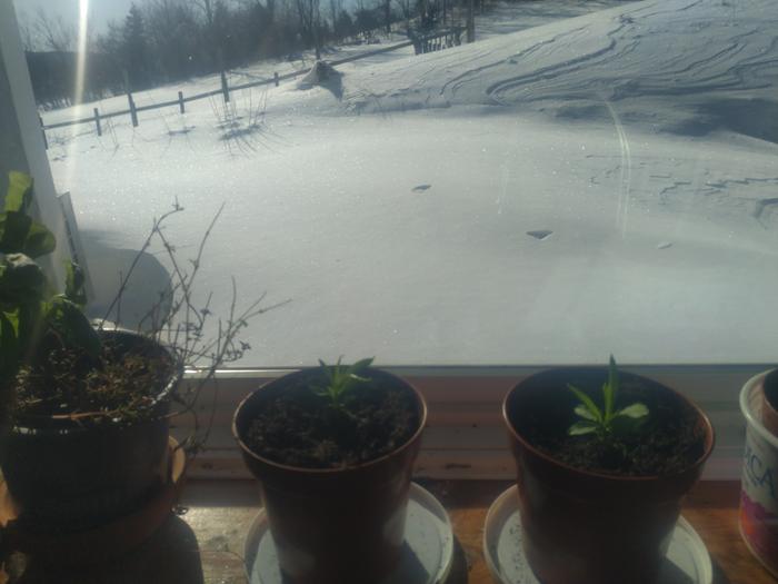 [Thumbnail for IMG_20260214_100842.jpg]