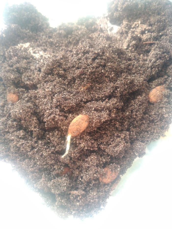 [Thumbnail for IMG_20260214_100950.jpg]