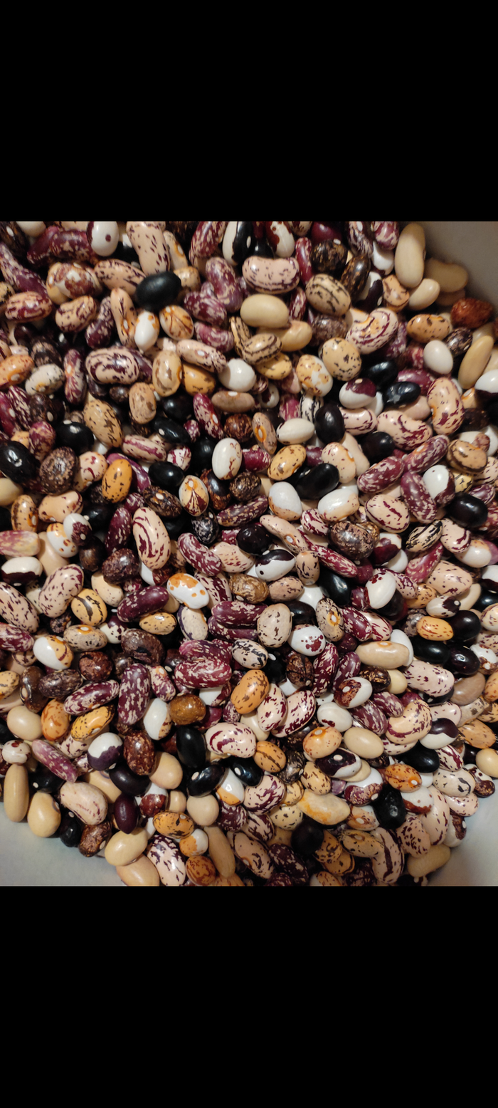 Beans evolutive mixture