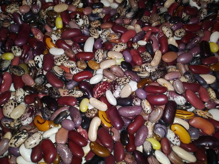 2021 - Dry Beans