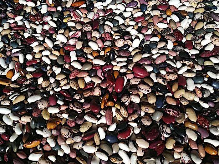 2022 - Dry Beans