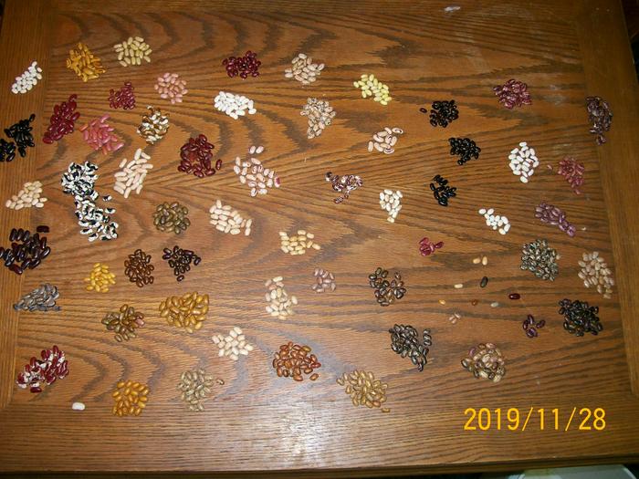 Sorting beans by type 2019