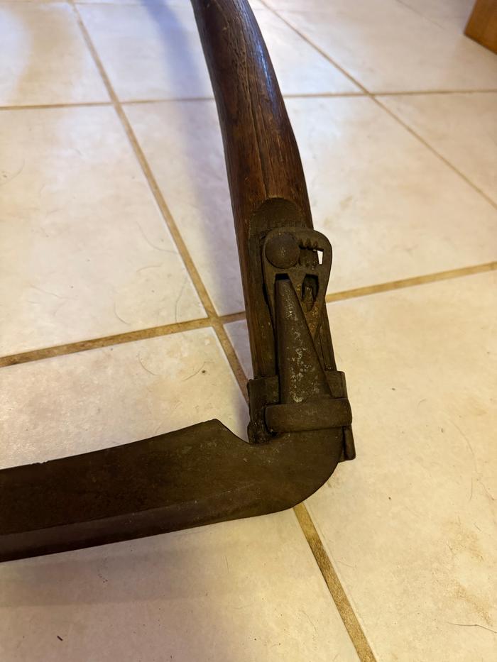 [Thumbnail for IMG_3703.jpeg]