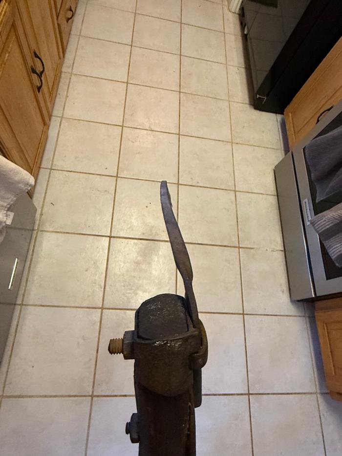 [Thumbnail for IMG_3707.jpeg]