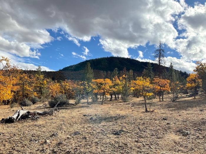 [Thumbnail for BlkMtFallSky.jpg]