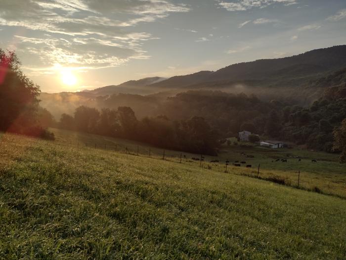 Sunrise from the main cabin