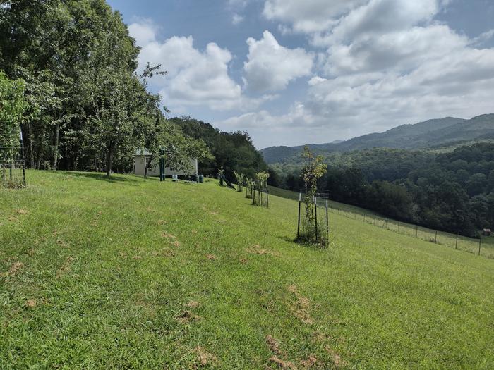 Long range view