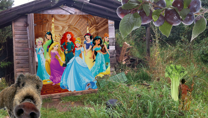 [Thumbnail for Campbild.png]