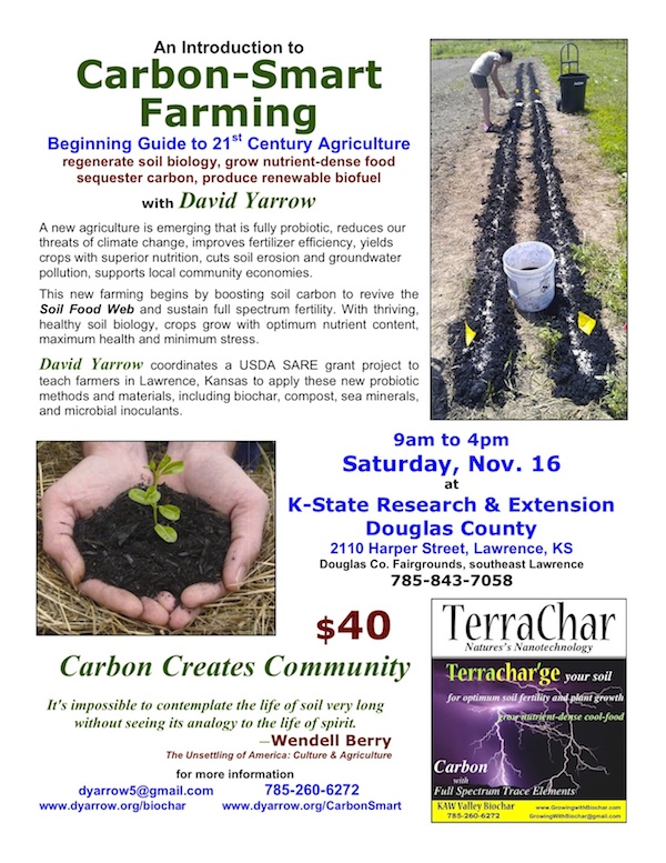 [Thumbnail for CarbonSmartFarming-poster_600.jpg]