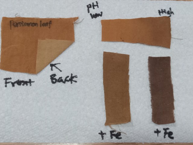 Persimmon leaf extract dye sample