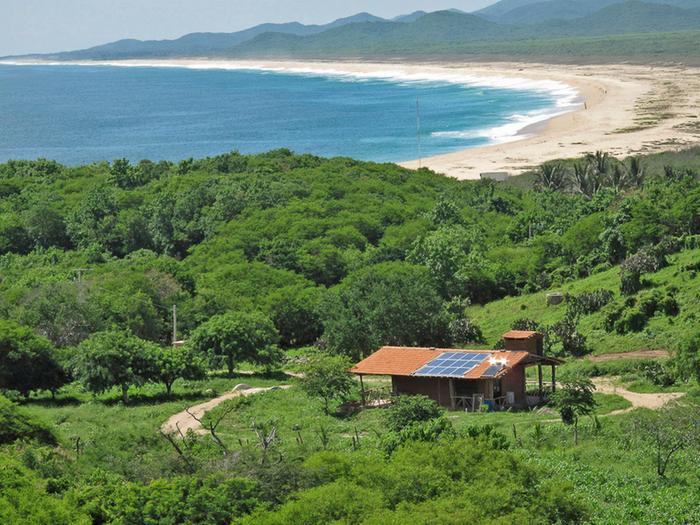 [Thumbnail for Dan-in-woods-5.jpg]