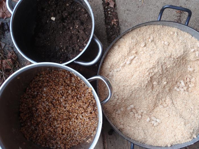 sawdust, cooked rye, coffee grounds with compost