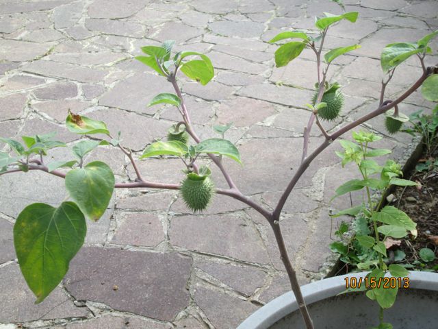 [Thumbnail for IMG_1826.jpg]