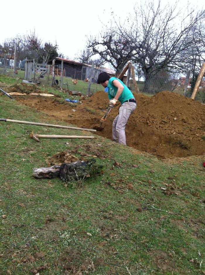 [Thumbnail for image.jpg]