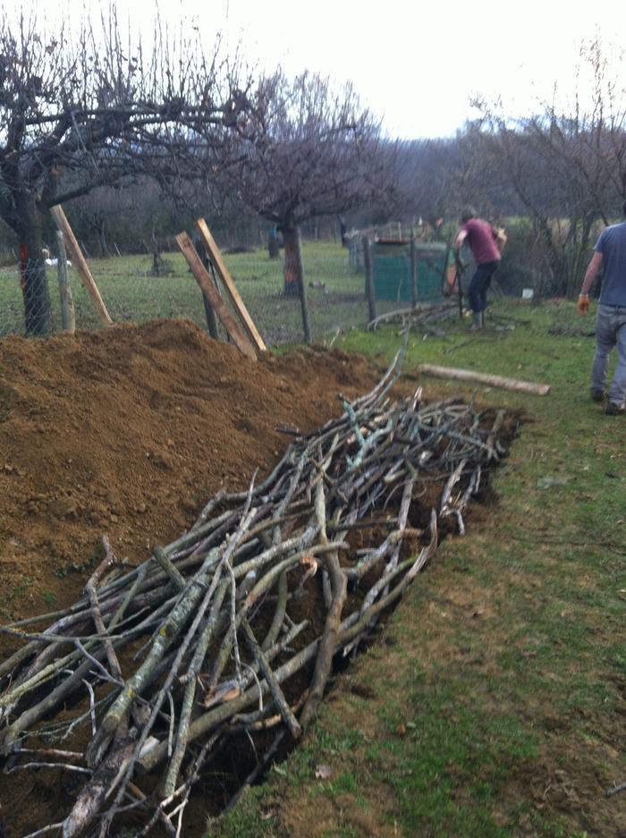 [Thumbnail for image.jpg]