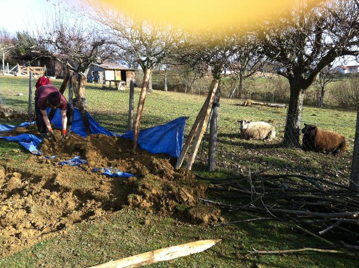 [Thumbnail for image.jpg]