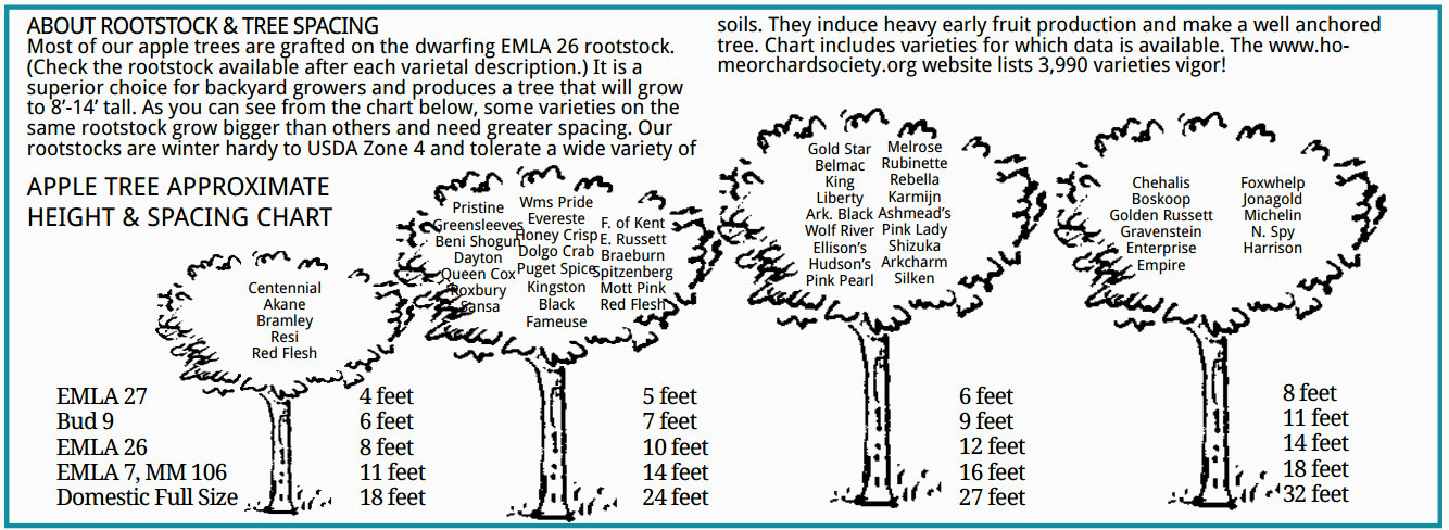 Orchard Tree Spacing Chart A Fruit Tree Spacing Home Guide Orchard Tree Spacing Chart A Fruit Tree Spacing Home Guide