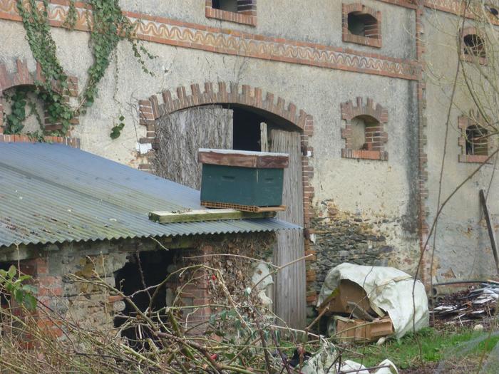 Bait hive on top of the prospective bee house - a Dadant with a Warr&eacute; style quilt/roof