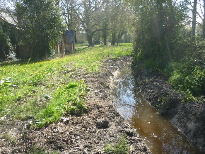 new ditch maybe pond