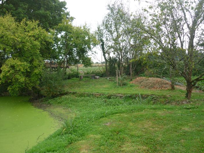 the contemplation garden in the corner