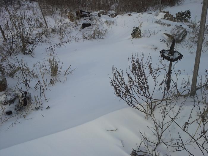 hugelbeet bowl of snow