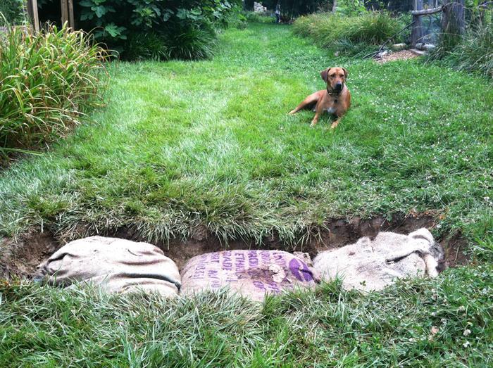 [Thumbnail for 16-Burlap-sack-filled-with-inoculated-wood-chips-in-flow-of-run-off.JPG]
