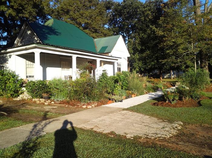 Homestead Front Yard