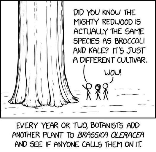 [Thumbnail for redwood-tree-kale.jpg]