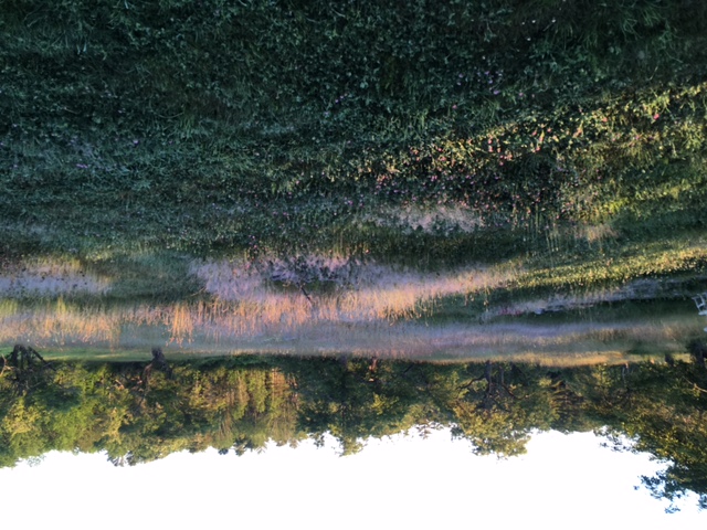 [Thumbnail for orchard-morning(2).JPG]