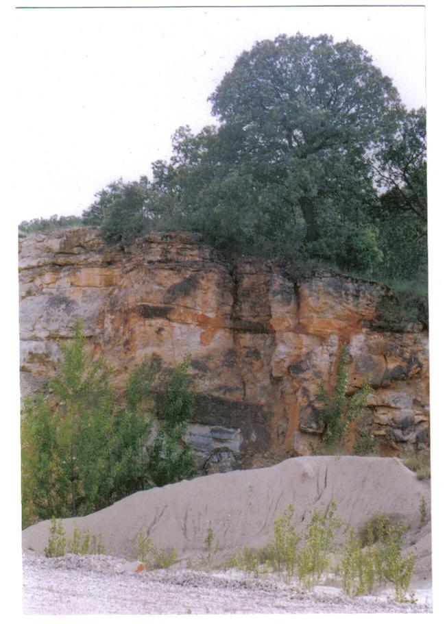 [Thumbnail for roots-2.jpg]