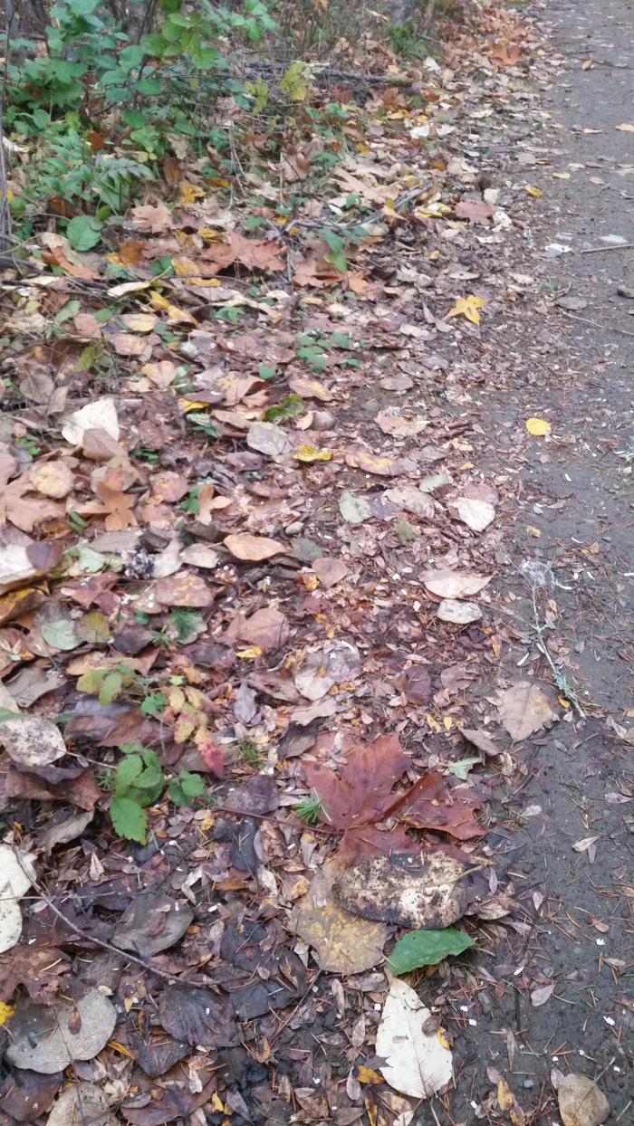 [Thumbnail for 20141108_160221.jpg]