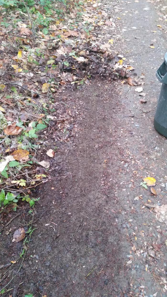 [Thumbnail for 20141108_160344.jpg]