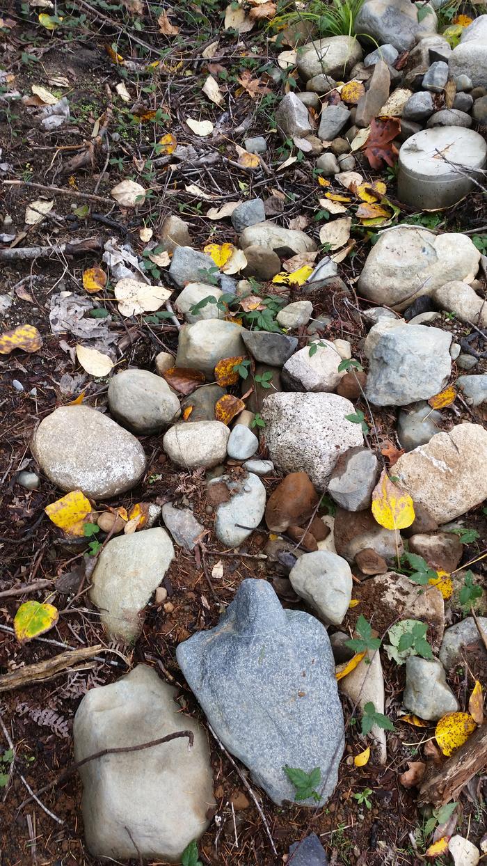 [Thumbnail for 20141109_135104.jpg]