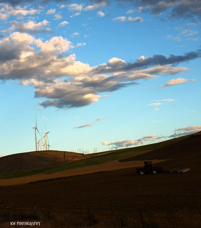 [Thumbnail for farm-field.jpg]