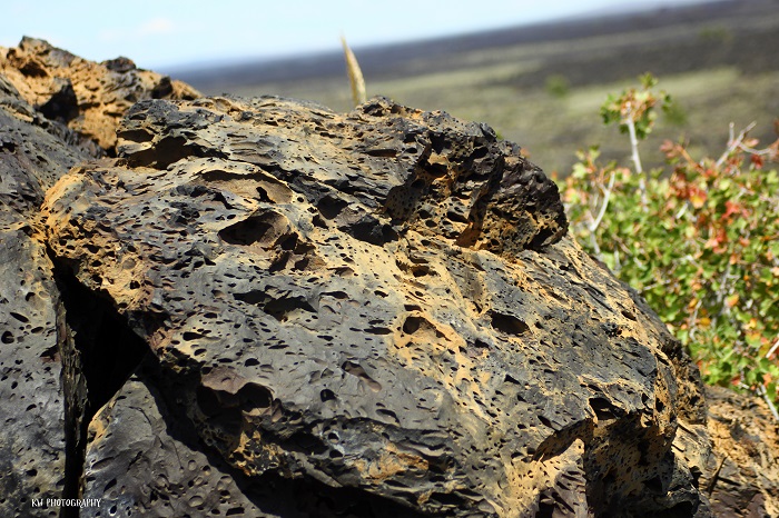 [Thumbnail for craters-of-the-moon.jpg]