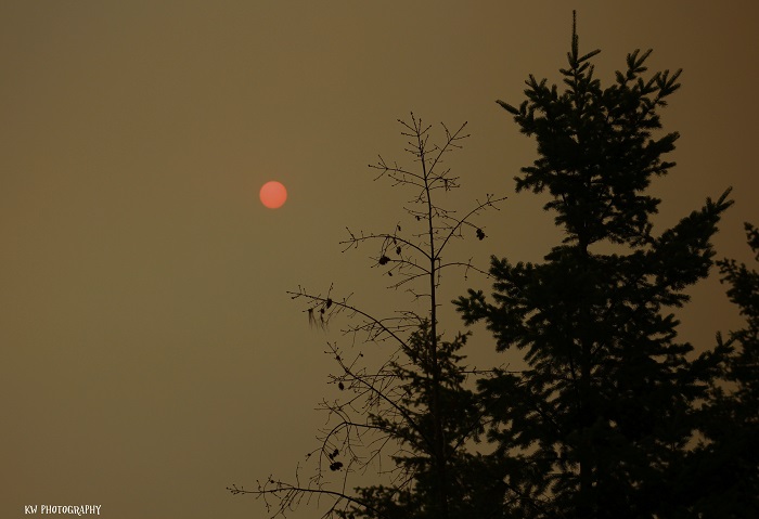 [Thumbnail for sun-on-a-smoky-day.jpg]