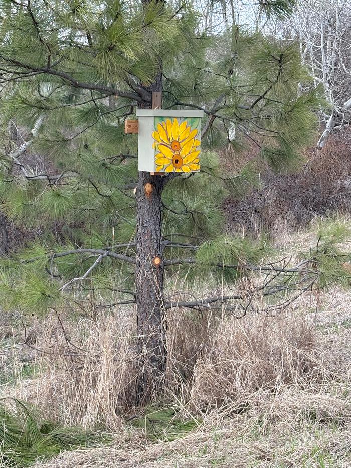 [Thumbnail for IMG_7994.jpeg]