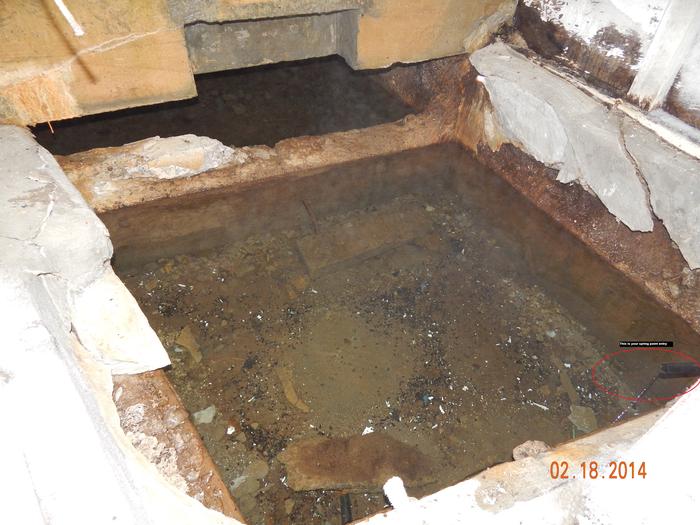 [Thumbnail for Spring-House-edit.jpg]