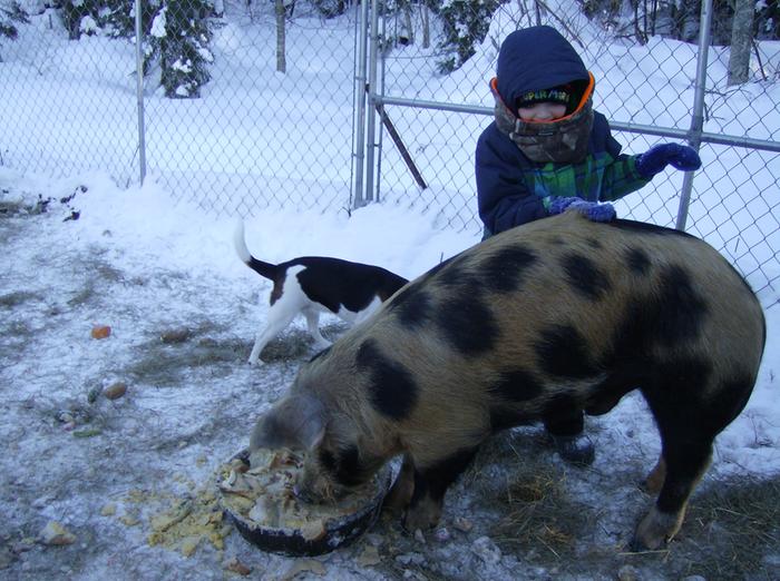 [Thumbnail for HPIM1986.JPG]